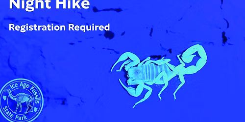 Night Hike