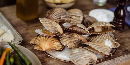 Hands on with Fish and Shellfish Cookery Course