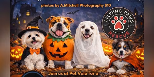 Halloween Photos at Pet Valu Tillsonburg with A. Mitchell Photography 