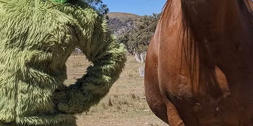 Pet photos with the Grinch