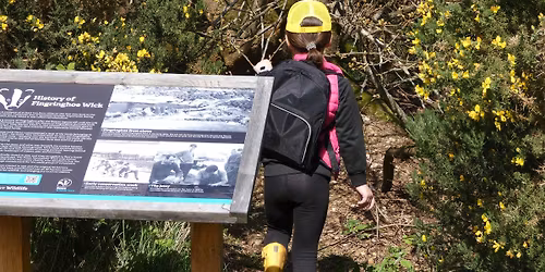 Fingringhoe wild code breakers