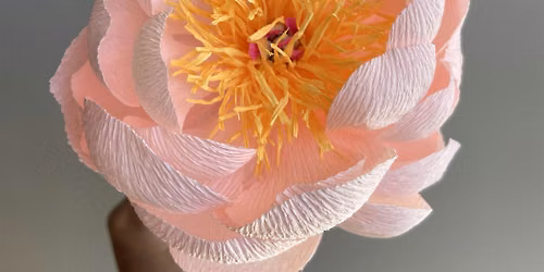 Tree Peony Paper Flower Class