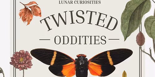 Twisted Oddities at Akala Studios