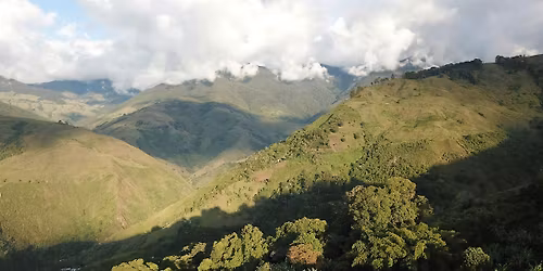 MEL \u2022 Curated Cupping: Cultivars of Colombia