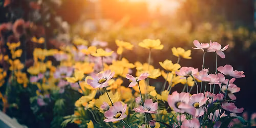 Free Sahaja Meditation: Inner peace workshop