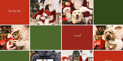 \ud83c\udf85 Santa Paws 2025: Photos for a Cause \ud83d\udc3e\ud83d\udcf8 Benefiting Berea Animal Rescue Friends