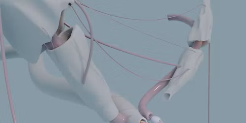 STAGE | POLYMORPHE, CR\u00c9ATION NUM\u00c9RIQUE