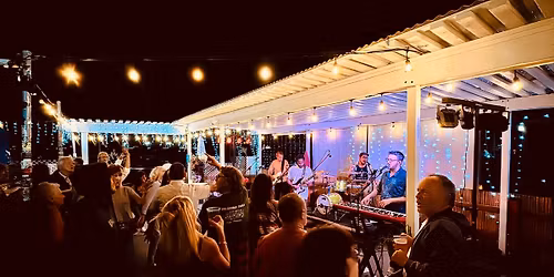 The Surf Birdz Rock Aquarius