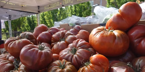 Central Park Farmers Market