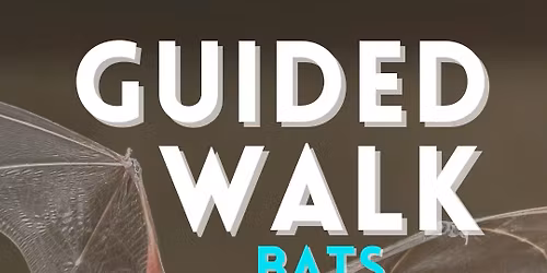 Family Friendly Guided Walk - Let's Talk About Bats!
