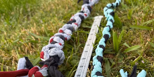 Wagging Tails Workshop - Make your own dog toy