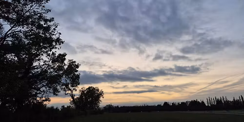 Halloween Fun Inhand Showing Show