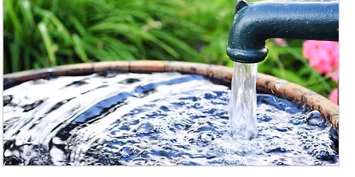 Chat And Chew: It\u2019s in You\u2026