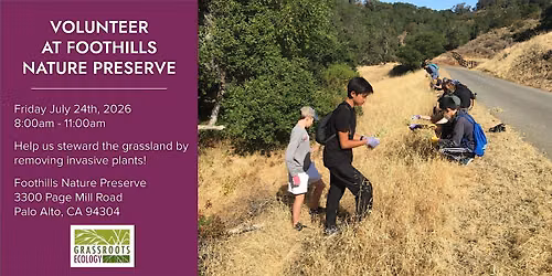 Volunteer Outdoors in Palo Alto at Foothills Nature Preserve