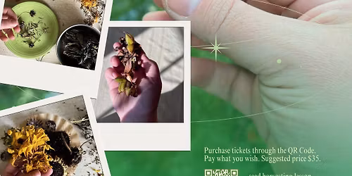 Seed Harvesting Workshop at the Westside Bowl