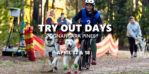WA Sleddogs Beginners Try Out Days