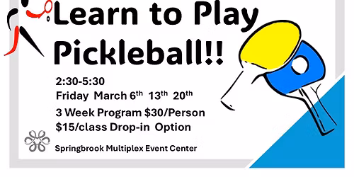 Learn to Play Pickleball