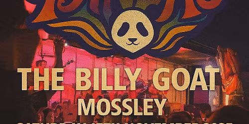 Flying pandas live at The Billy Goat