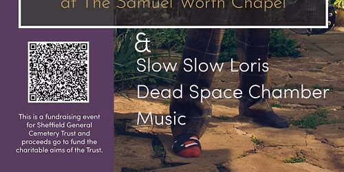 Sieben\/Slow Slow Loris live @GenCem Sheffield
