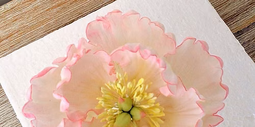 Beginner\u2019s Sugarflower Workshop