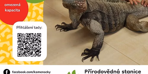 Komentovan\u00e9 prohl\u00eddky s kontaktem se zv\u00ed\u0159aty