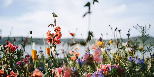 The Wildflower Society: November Women\u2019s Circle \u2013 Learning to Ask & Receive