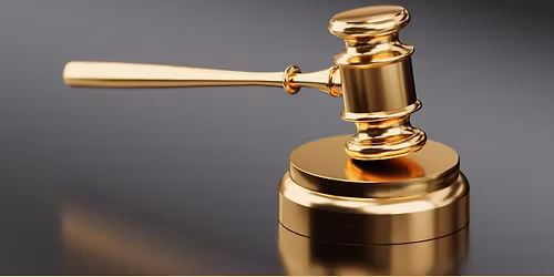 Auction Sale of levied items