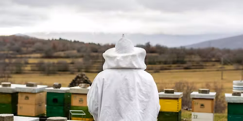 Whisper All Your News - Inter-Act