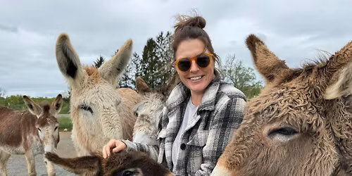 Self-Renewal and The Donkey Experience