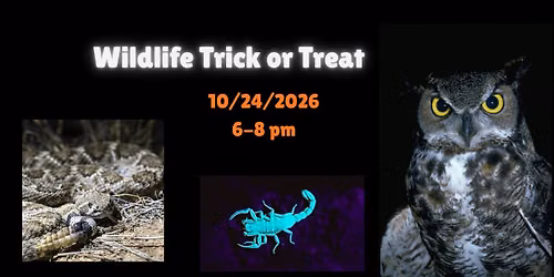 Wildlife Trick or Treat