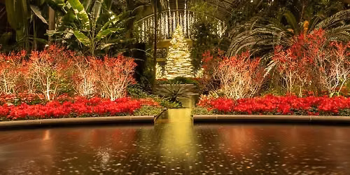 A Longwood Christmas - AFTER HOURS!!!