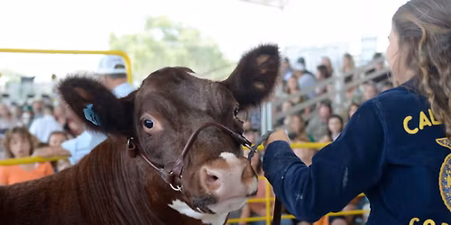 Silver Dollar Fair Jr. Livestock Expo & Auction
