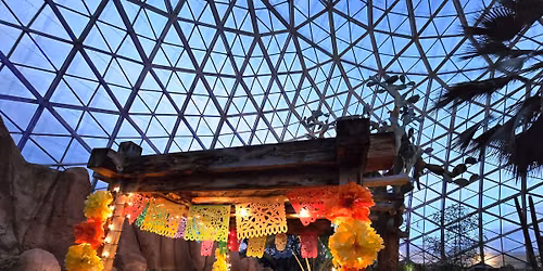 D\u00eda de los Muertos (Day of the Dead) at the Domes