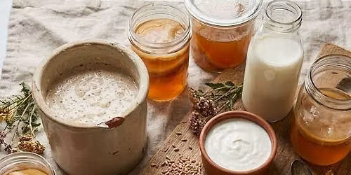 DIY Workshop: Intro to Sourdough + Kombucha w\/ Melanie & Sarah