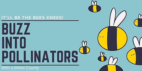 Buzz Into Pollinators