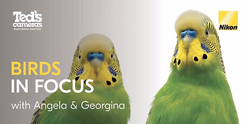 Birds in Focus with Angela Robertson Buchanan & Georgina Steytler