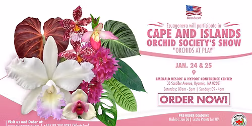 Ecuagenera will participate in Cape and Islands Orchid Society's Show "Orchids at Play"
