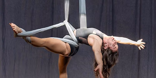 #626 Photograph the Detroit Flyhouse aerial circus workshop