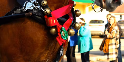 15th Annual Lexington Old Fashion Christmas Horse Parade