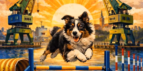 Kwalifikacje do AWC i EO Szczecin