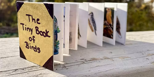 Tiny Bird Book Contemplative