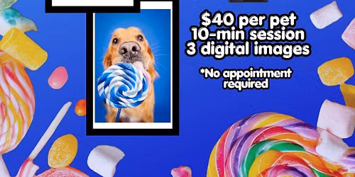 LOLLIPOP PET PORTRAITS! | Two Bostons St. Charles