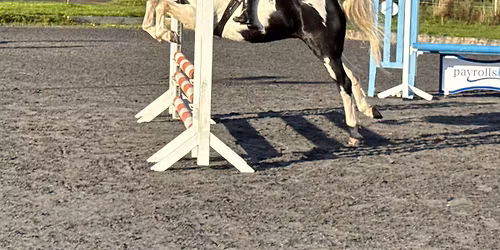 Assisted Clear round with a coach