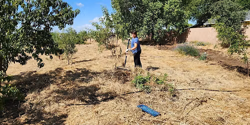 Yo'ville Community Garden and Farm Volunteer Orientation
