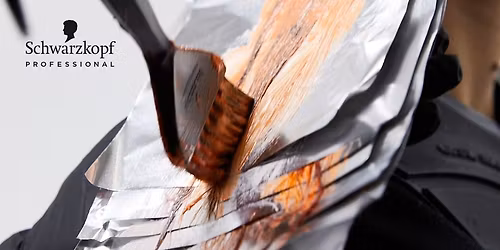 Schwarzkopf Professional Fundamentals Of Color -SOLD OUT!