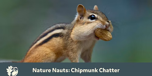 Nature Nauts: Chipmunk Chatter