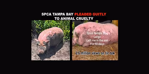 Rally at the SPCA Pet Walk! Walk for Waddles!