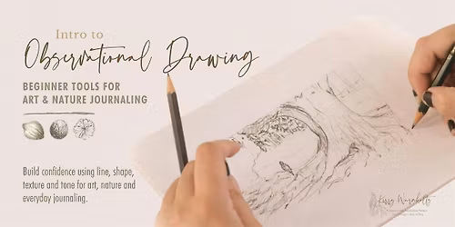 Intro to Observational Drawing: Beginner Tools for Art & Journaling