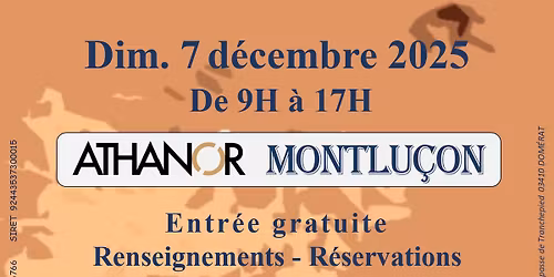 BOURSE TOUTES COLLECTIONS