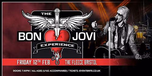 The Bon Jovi Experience